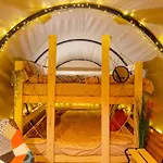 Dragonfly Gardens Urban Glamping Brasov