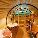 Dragonfly Gardens Urban Glamping Brasov