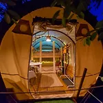 Dragonfly Gardens Urban Glamping Brasov
