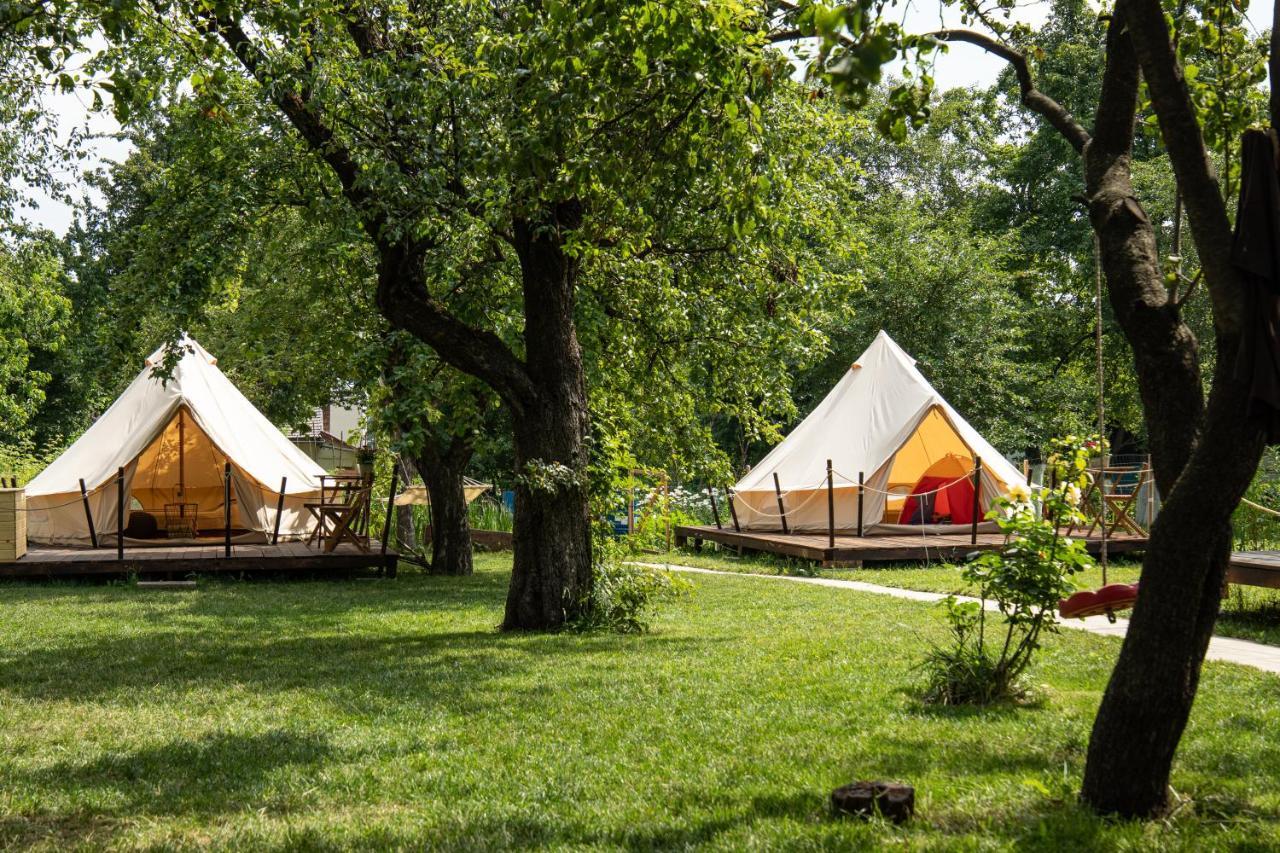 Luxuszelt Dragonfly Gardens Urban Glamping Brașov