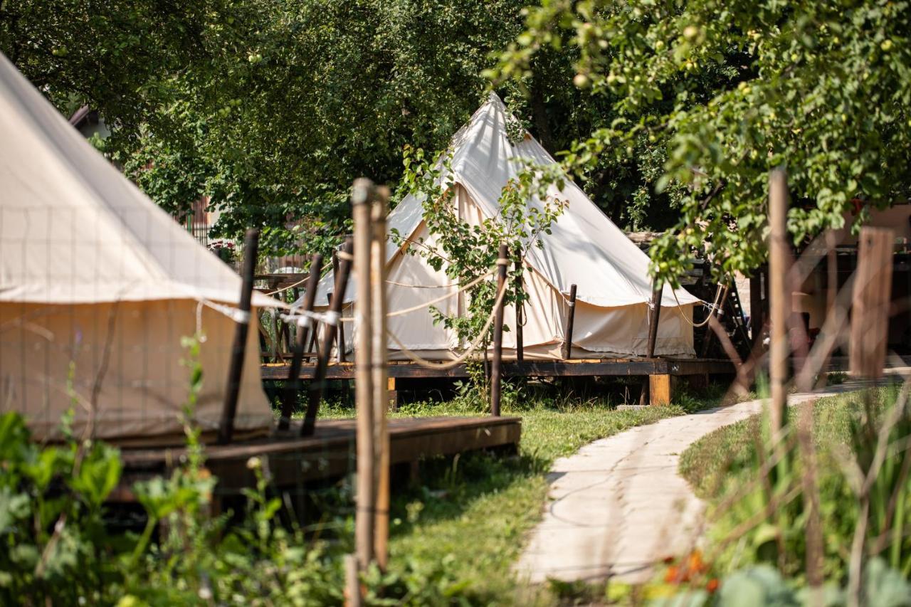 Dragonfly Gardens Urban Glamping