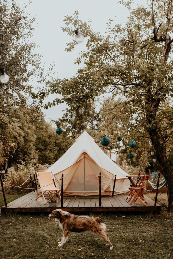 Dragonfly Gardens Urban Glamping Brașov