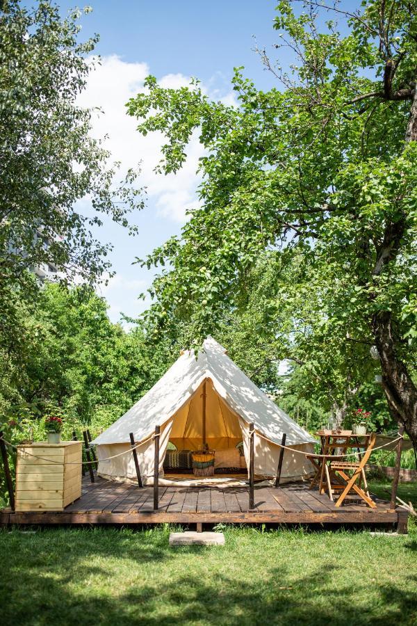 Dragonfly Gardens Urban Glamping *