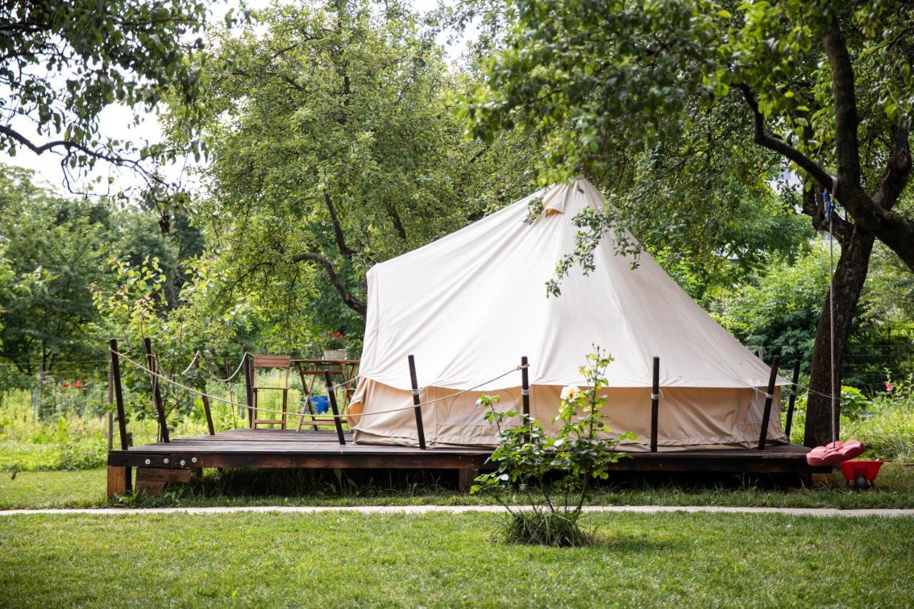 Dragonfly Gardens Urban Glamping *