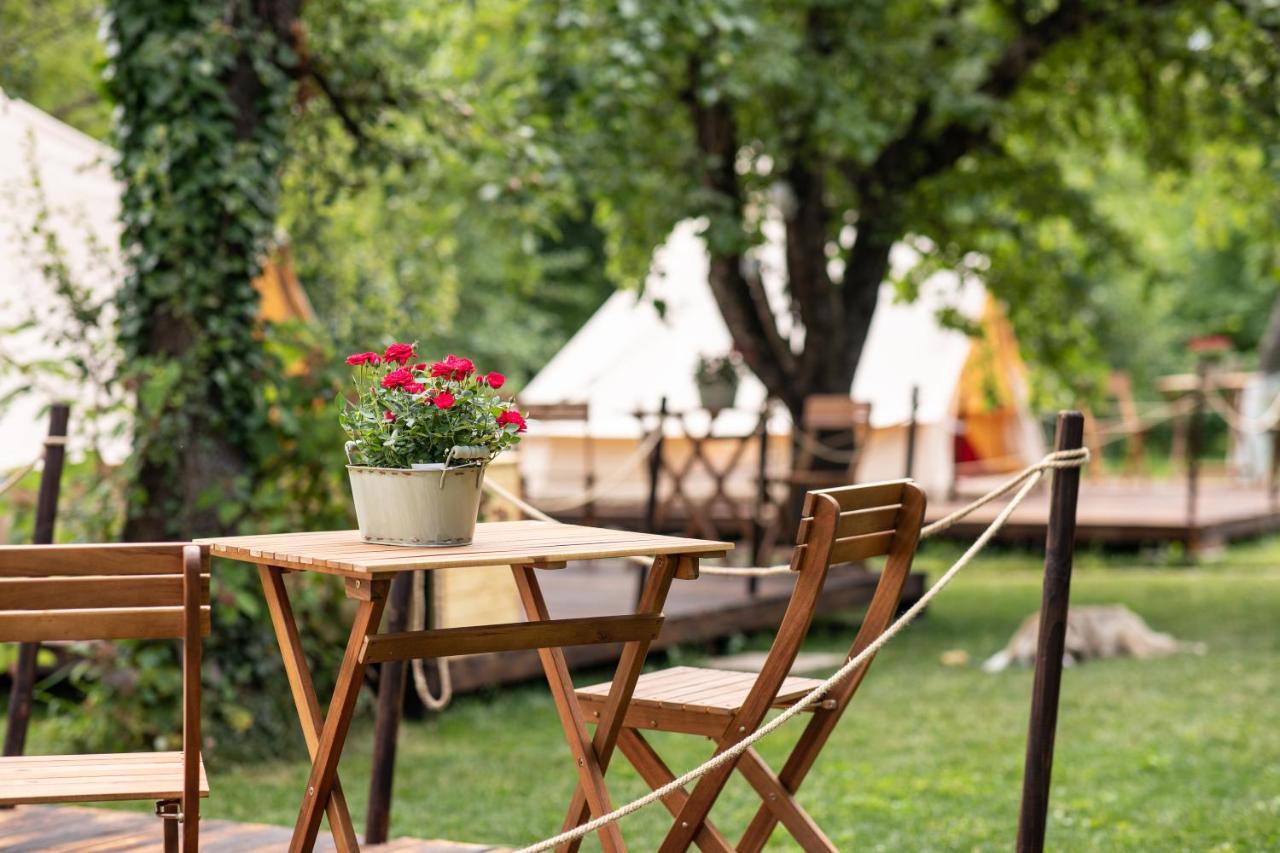 Luxuszelt Dragonfly Gardens Urban Glamping