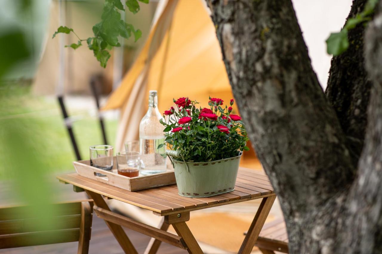 Dragonfly Gardens Urban Glamping Brașov