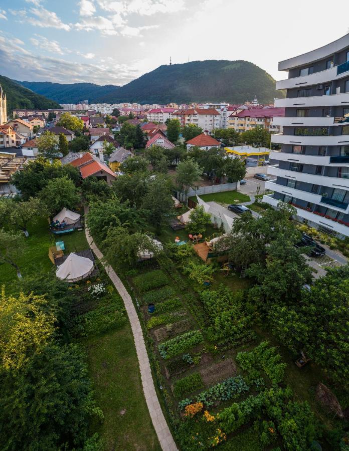Dragonfly Gardens Urban Glamping Luxuszelt Brașov