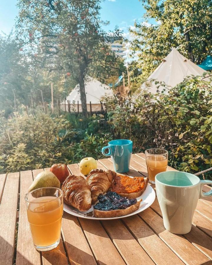 Dragonfly Gardens Urban Glamping Brașov