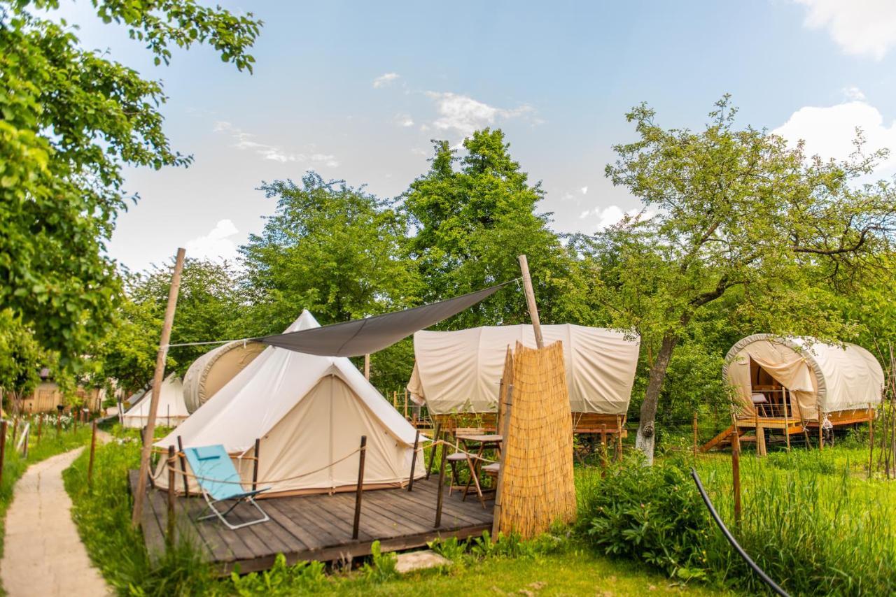 Luxuszelt Dragonfly Gardens Urban Glamping Brașov