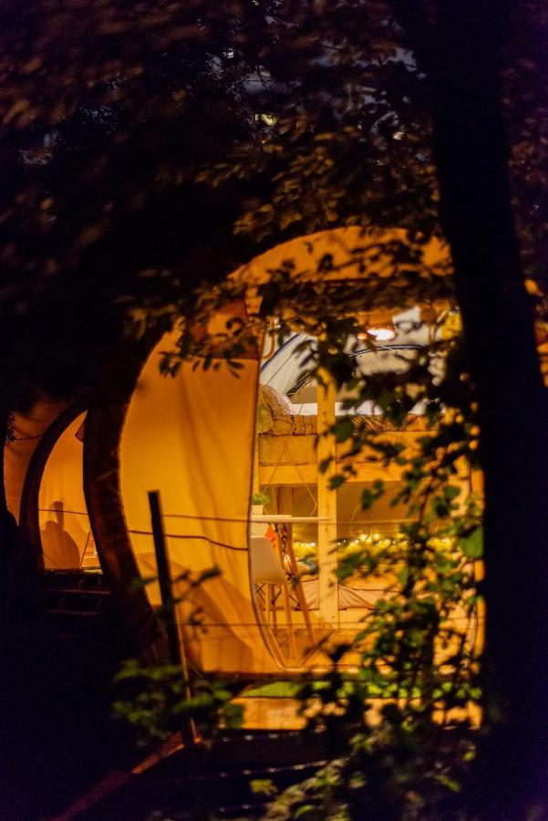 Dragonfly Gardens Urban Glamping *