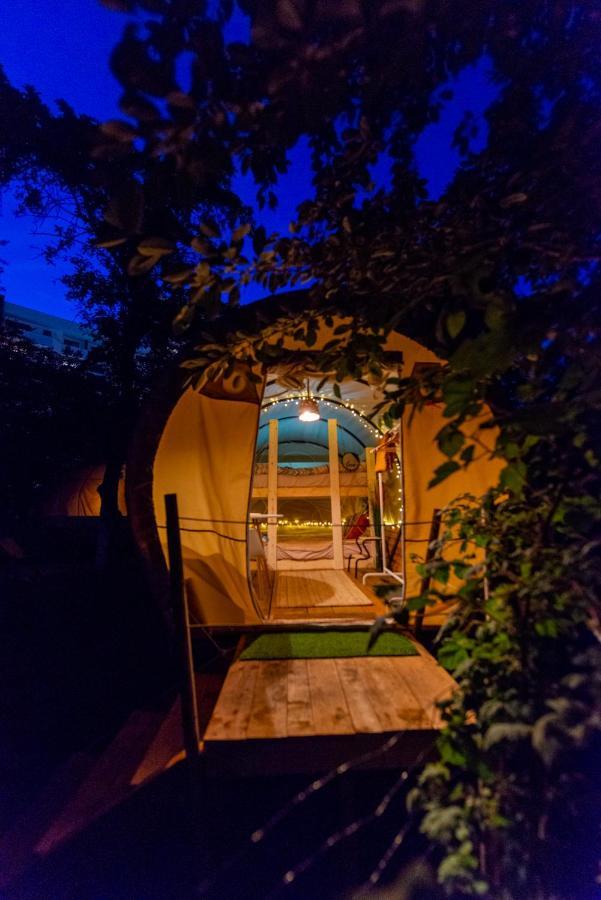 Dragonfly Gardens Urban Glamping * Brașov