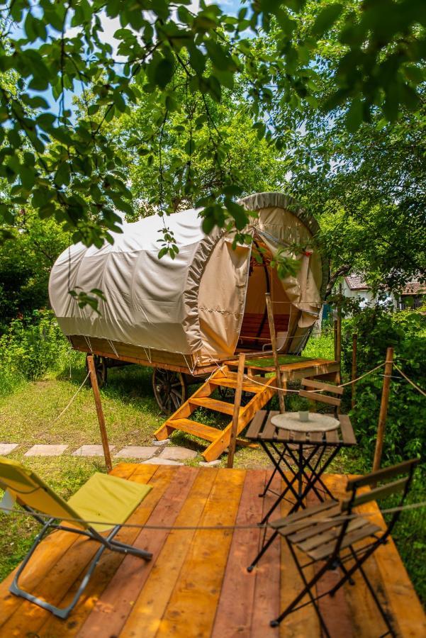 Dragonfly Gardens Urban Glamping *