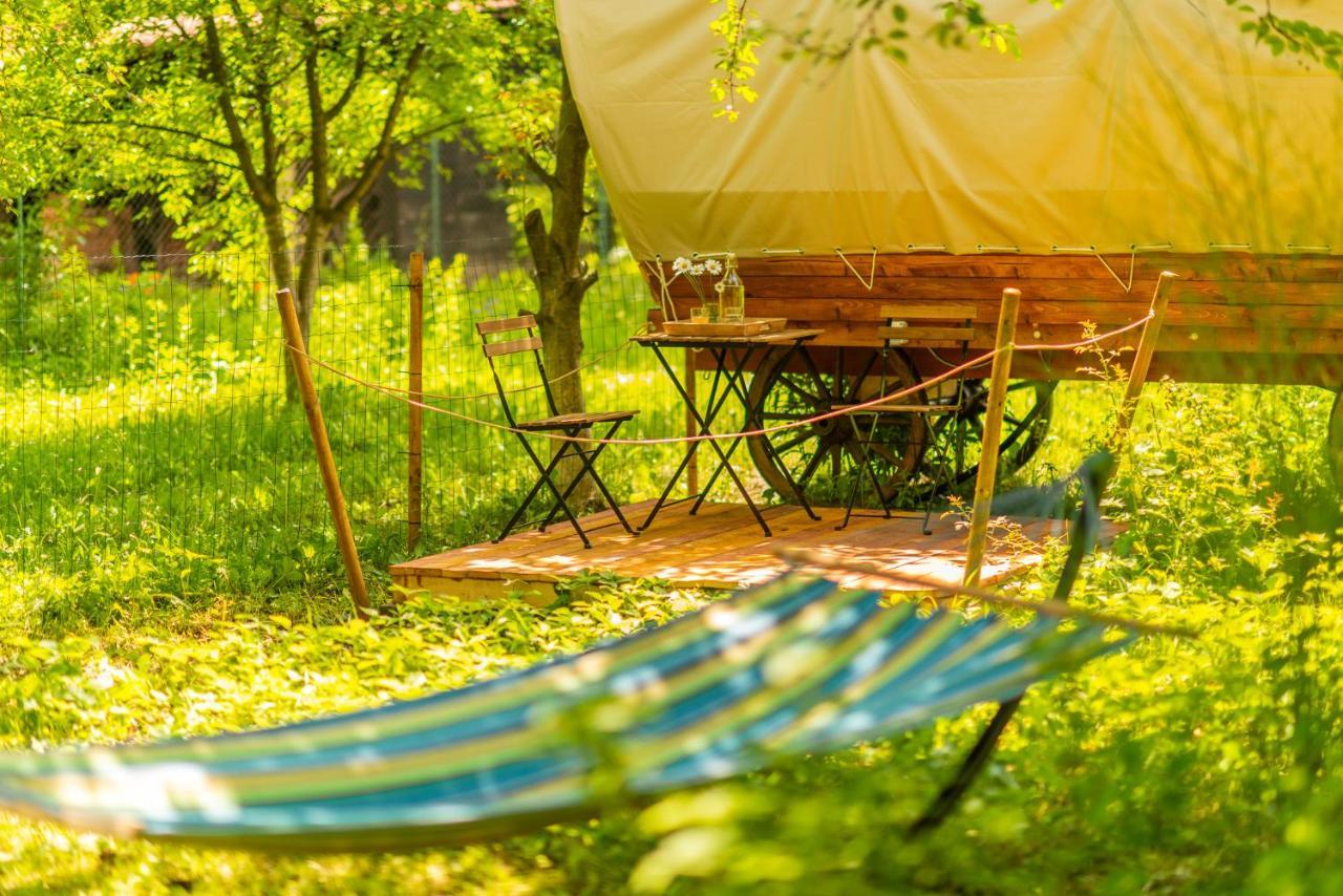 Dragonfly Gardens Urban Glamping Luxuszelt