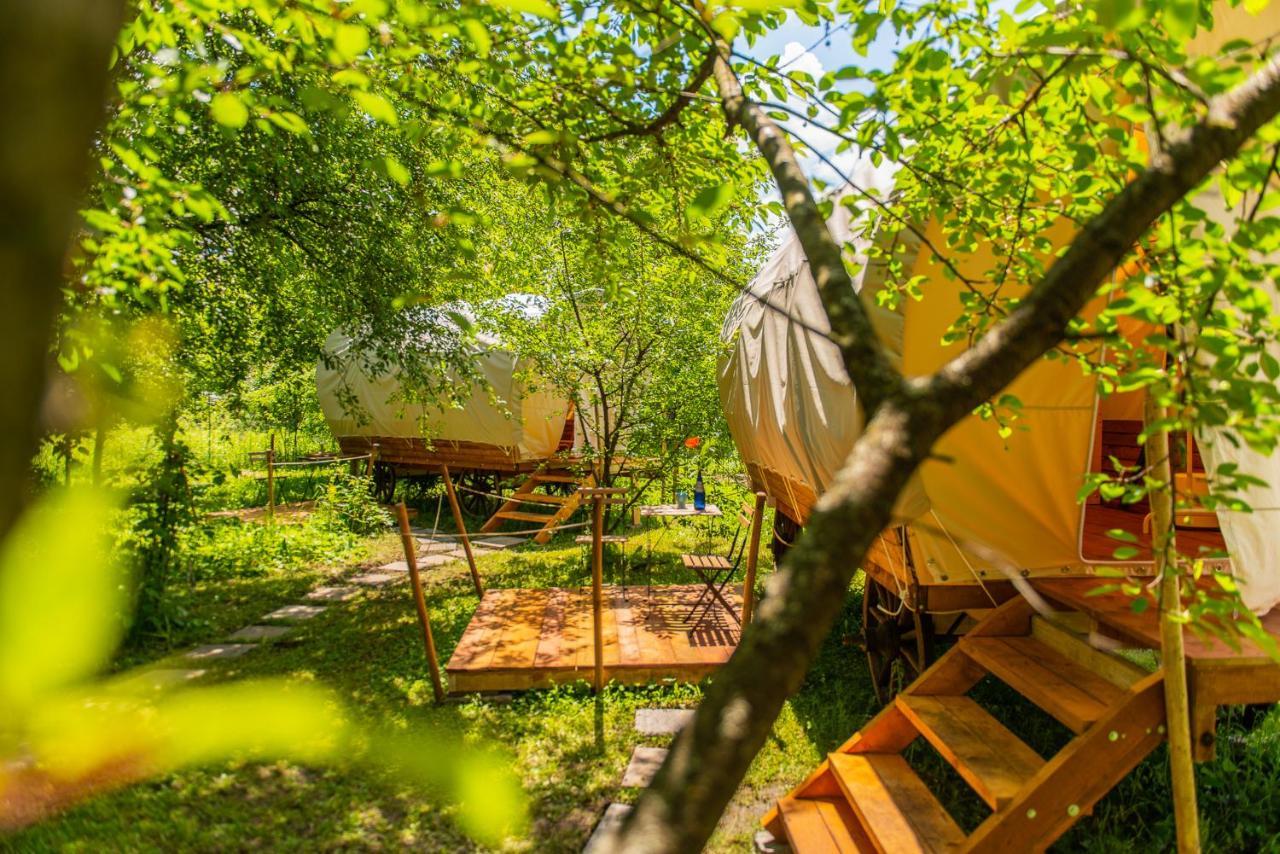 Dragonfly Gardens Urban Glamping
