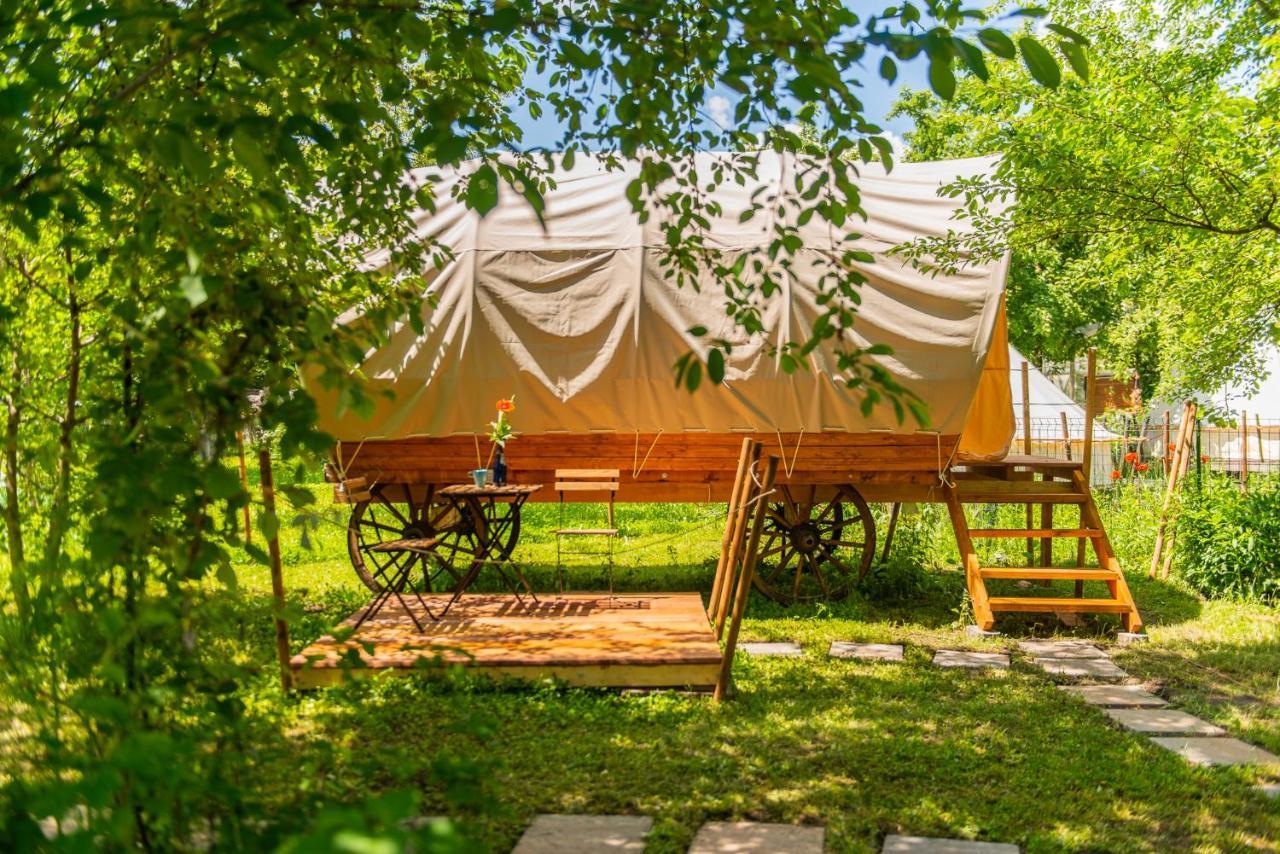 Luxuszelt Dragonfly Gardens Urban Glamping