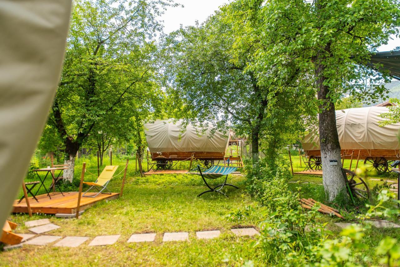 Dragonfly Gardens Urban Glamping Brașov